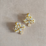 Gabriella Crystals Stud Earrings - Ahseya & Co