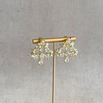Gabriella Crystals Stud Earrings - Ahseya & Co