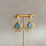 Blue Crystal Drop Earrings - Ahseya & Co