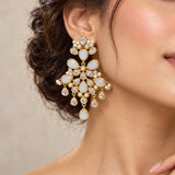 Fiora Opalite Crystal Drop Earrings - Ahseya & Co