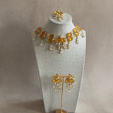 Shelly Amber Crystal Necklace Set