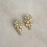 Shanza Grey Crystal Stud Earrings